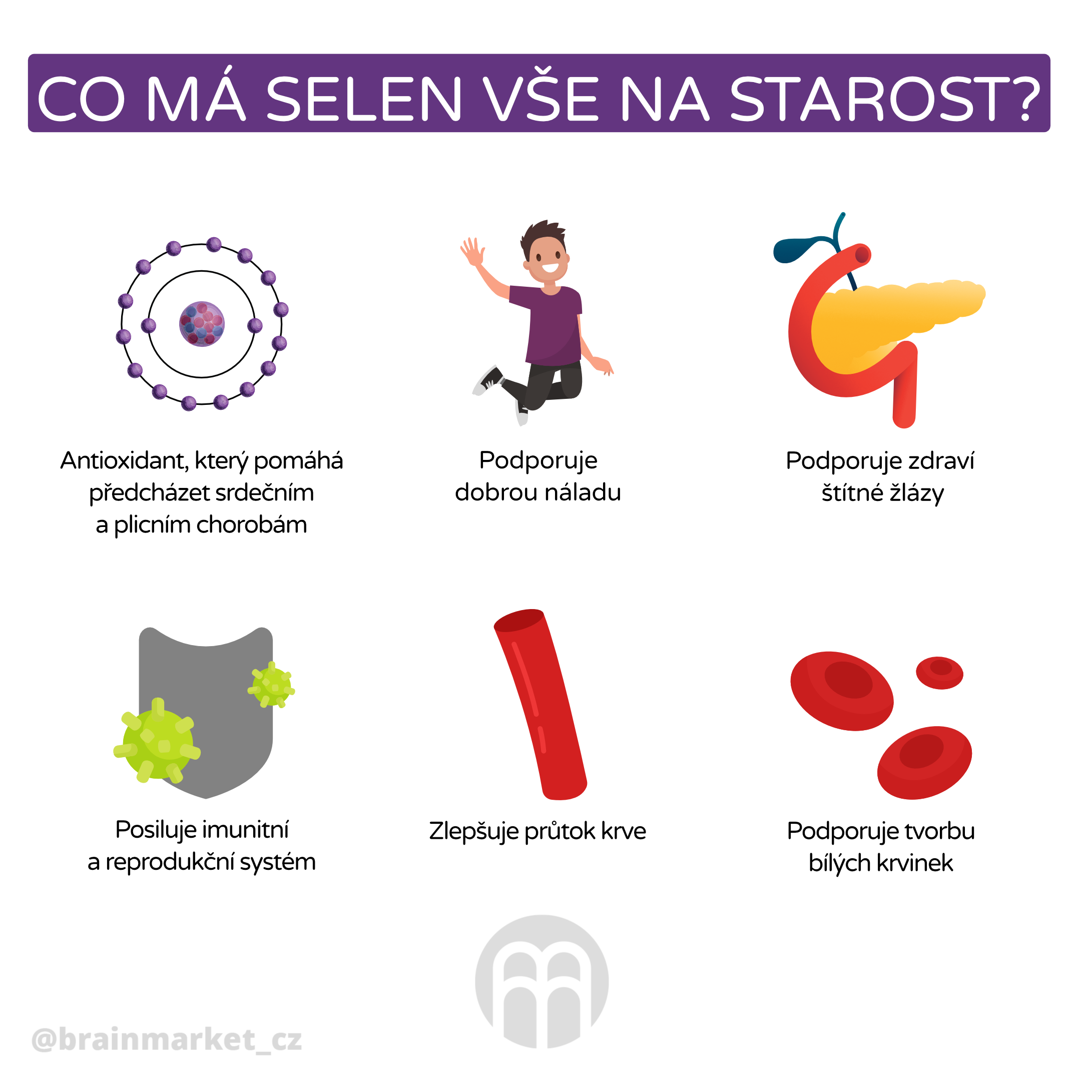 co ma selen vse na starost_infografika_cz